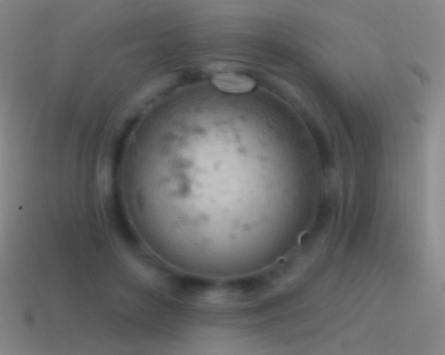 X0000115590504200911101241