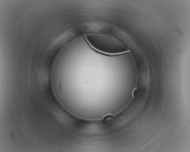 X0000115590505200911101241