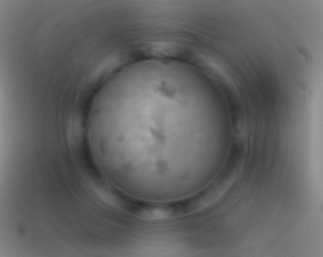 X0000115590506200911101241
