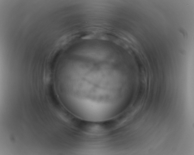 X0000115590507200911101241