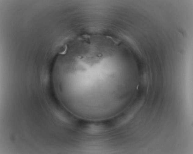X0000115590508200911101241