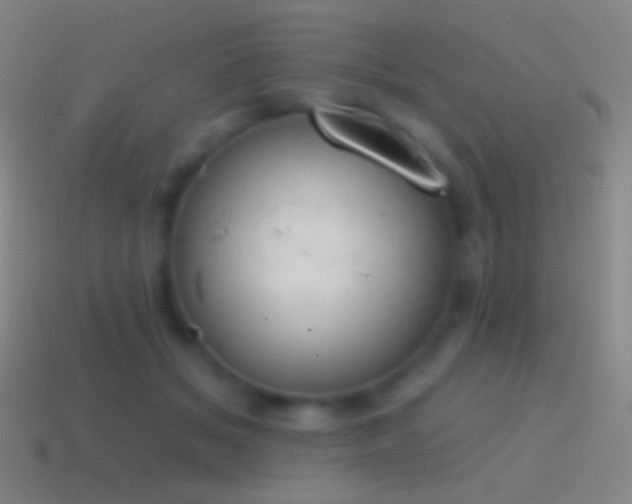 X0000115590509200911101241