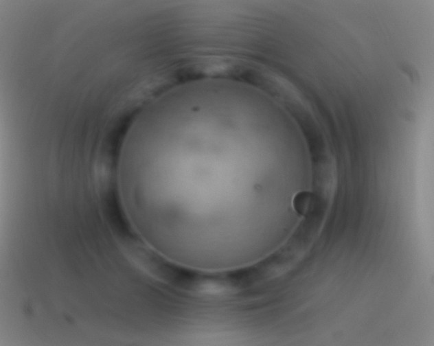 X0000115590510200911101241