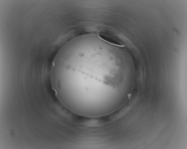X0000115590513200911101241