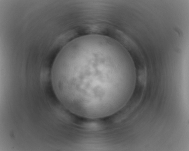 X0000115590514200911101241