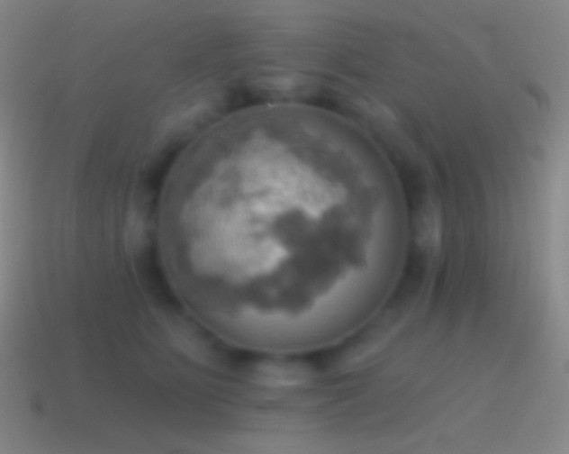 X0000115590515200911101241