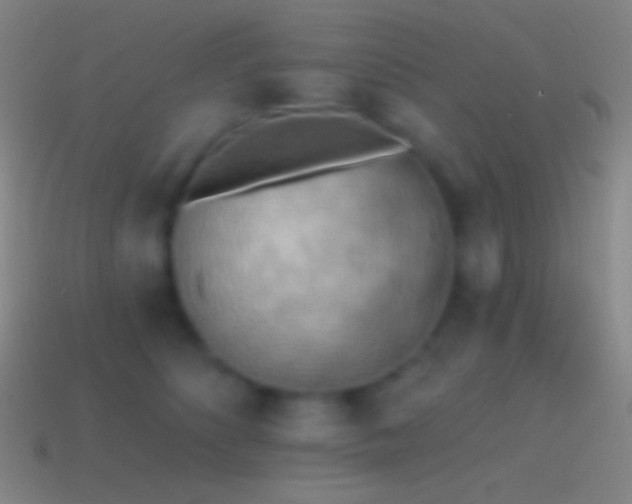 X0000115590516200911101241