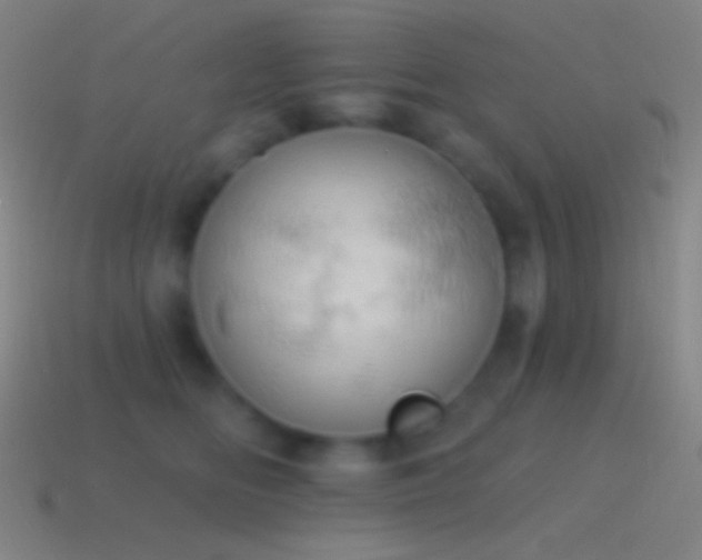 X0000115590518200911101241