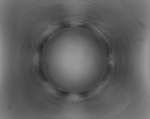 X0000115590519200911101241