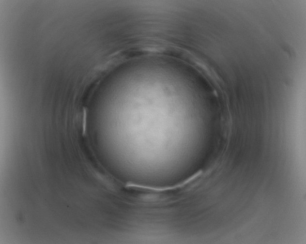 X0000115590521200911101241