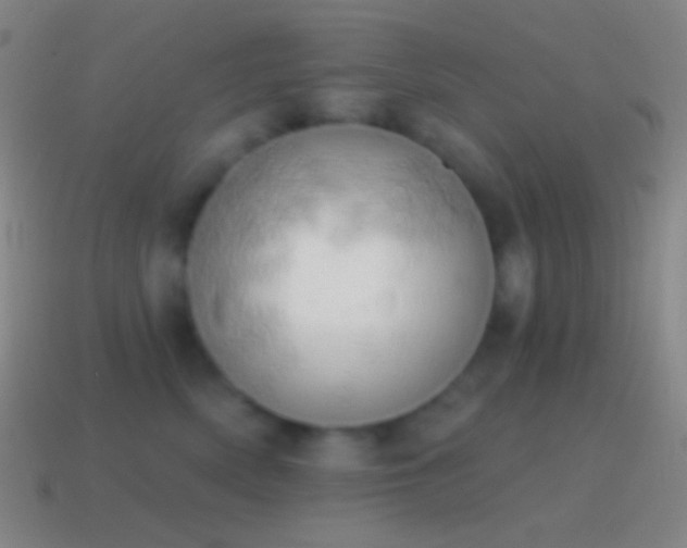 X0000115590522200911101241