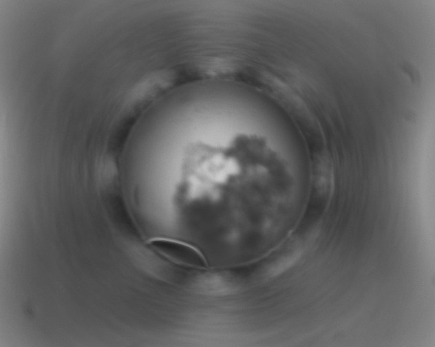 X0000115590523200911101241