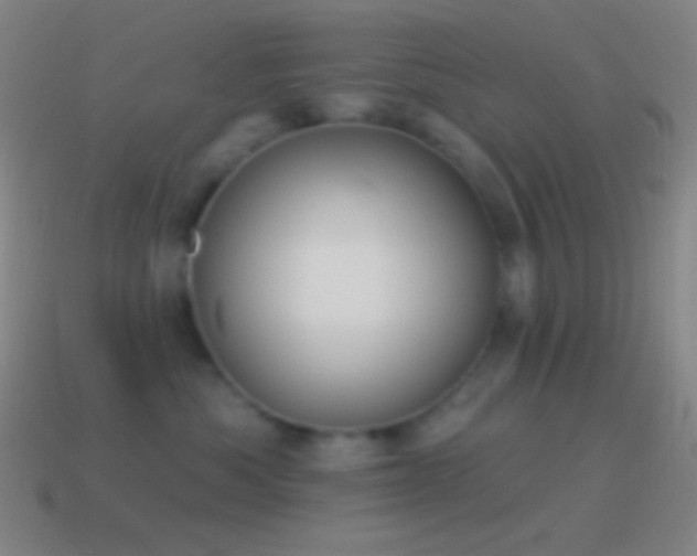 X0000115590525200911101241