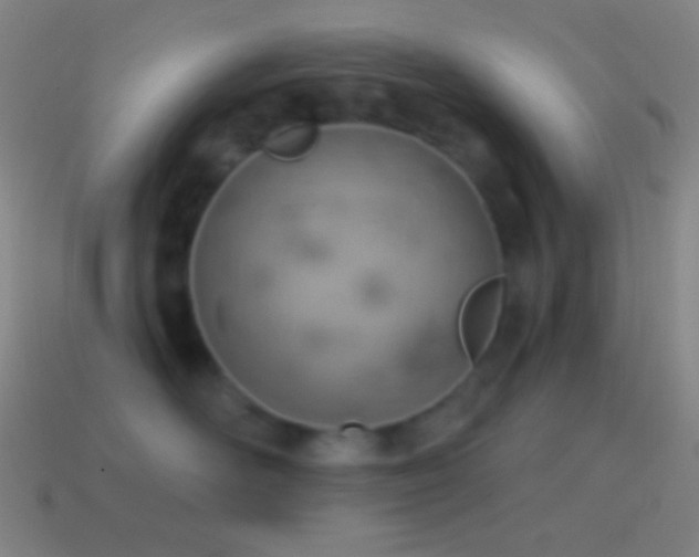 X0000115590526200911101241