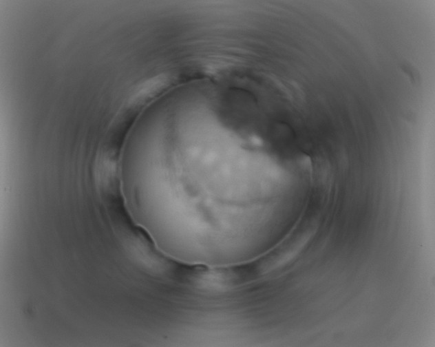 X0000115590527200911101240