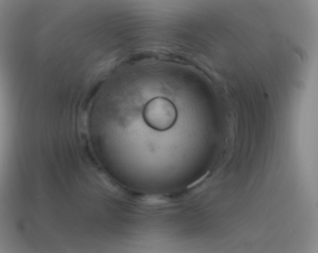 X0000115590528200911101240
