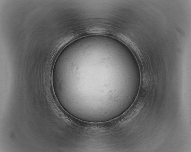 X0000115590529200911101240