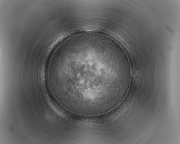 X0000115590530200911101240