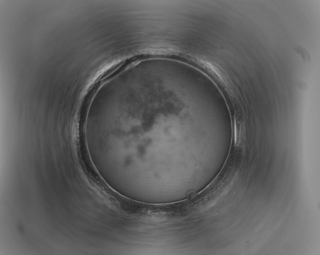 X0000115590531200911101240