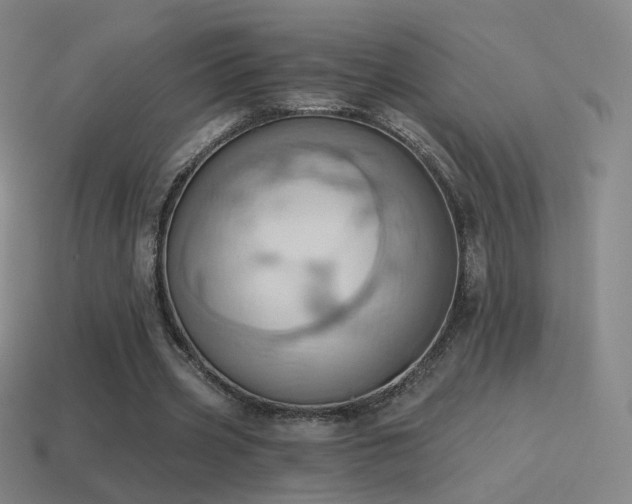 X0000115590533200911101240