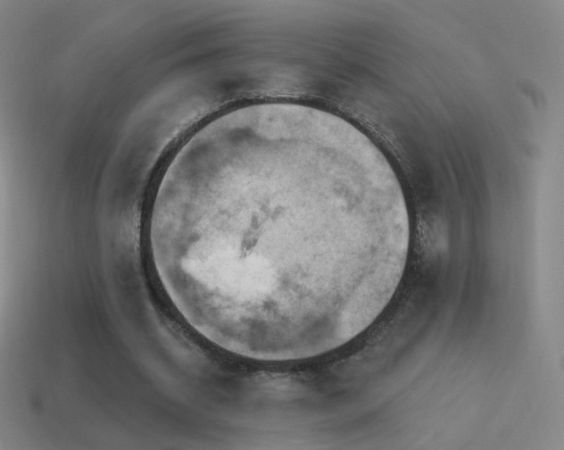 X0000115590534200911101240