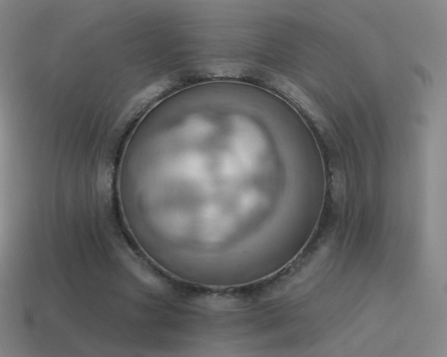X0000115590537200911101240