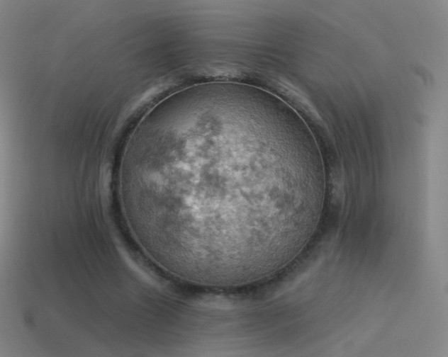 X0000115590538200911101240