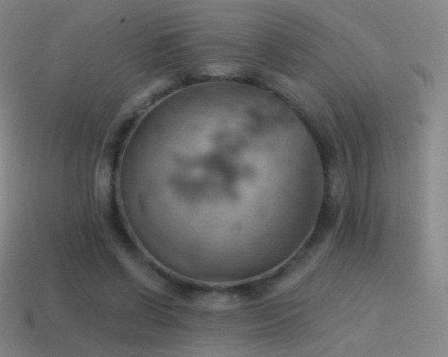X0000115590542200911101240