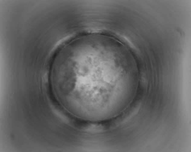 X0000115590543200911101240
