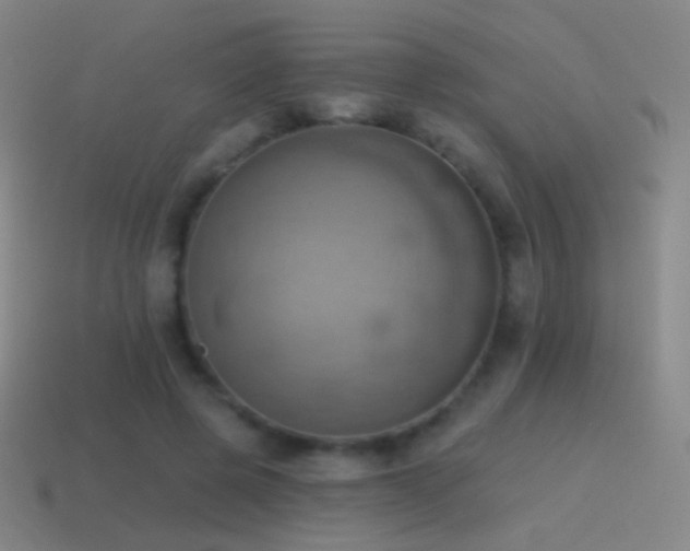 X0000115590545200911101240