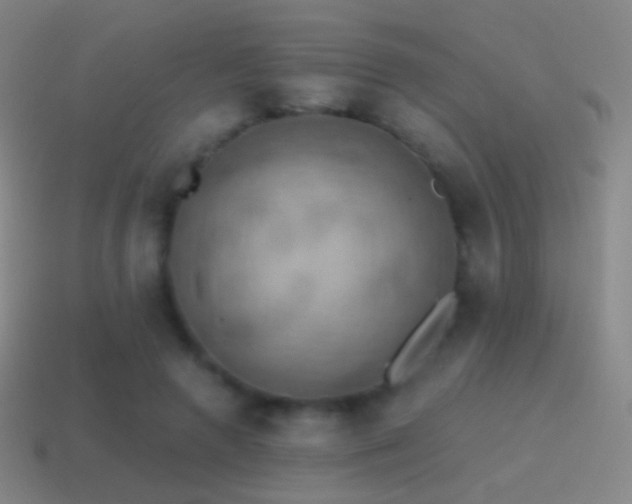 X0000115590546200911101240