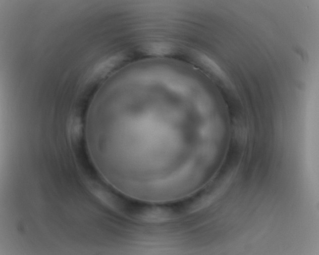 X0000115590549200911101240