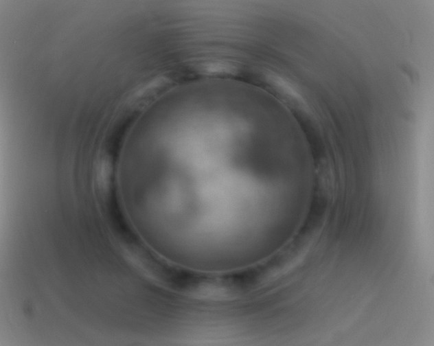 X0000115590550200911101240