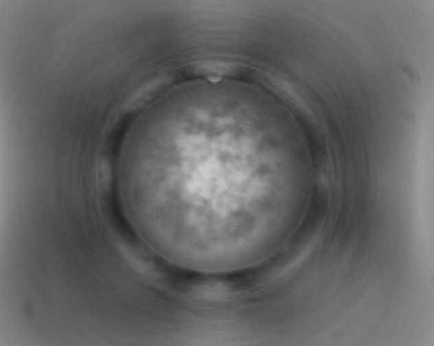 X0000115590551200911101240