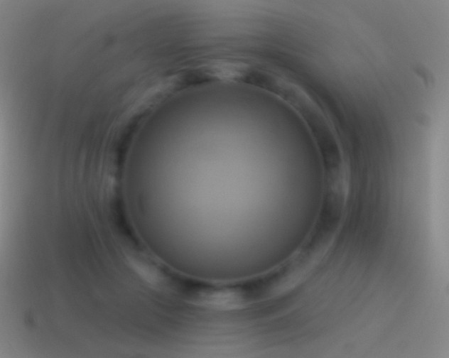 X0000115590553200911101240