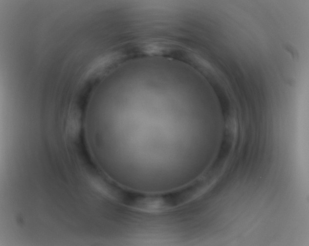 X0000115590554200911101240