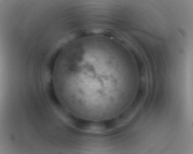 X0000115590555200911101240