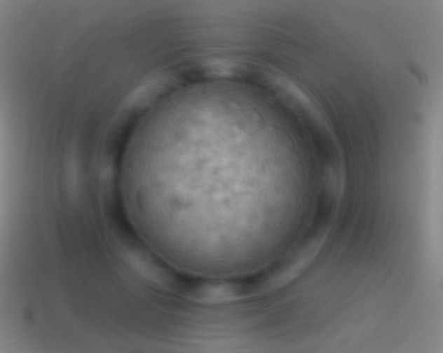 X0000115590557200911101240