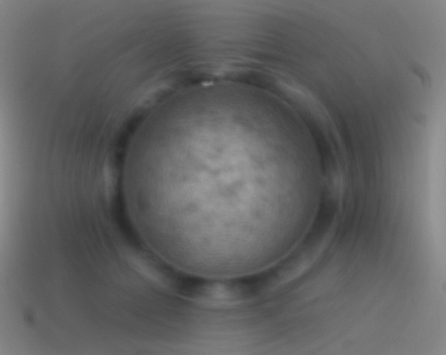 X0000115590558200911101240