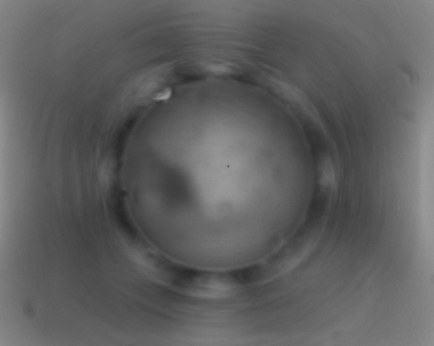 X0000115590559200911101240