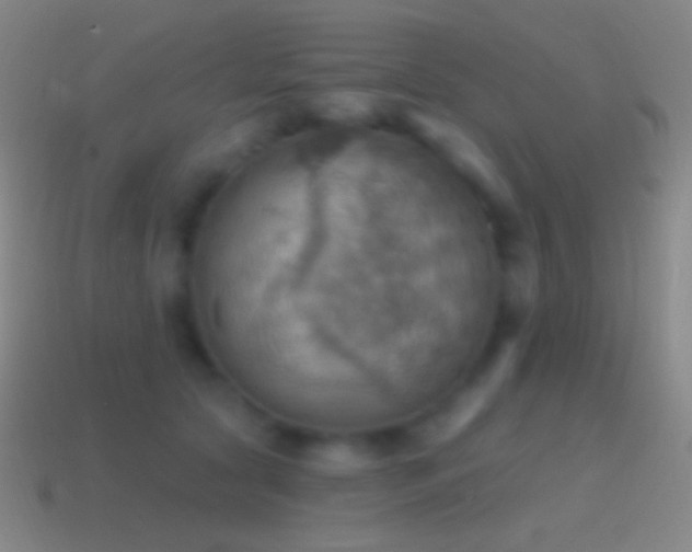 X0000115590561200911101240