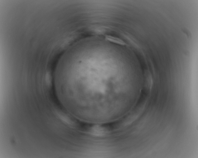 X0000115590562200911101240