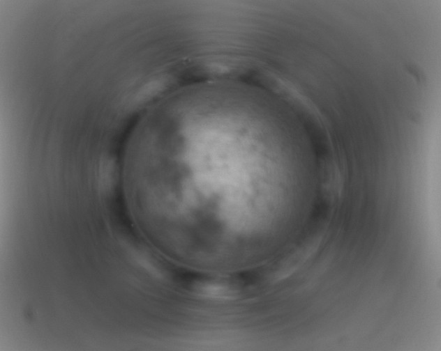 X0000115590563200911101240