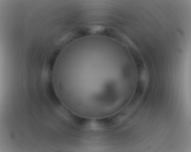 X0000115590565200911101240