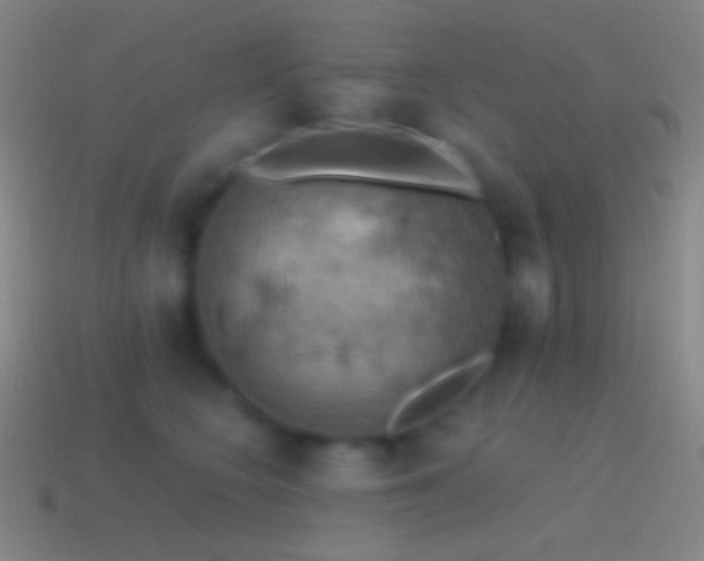 X0000115590566200911101240