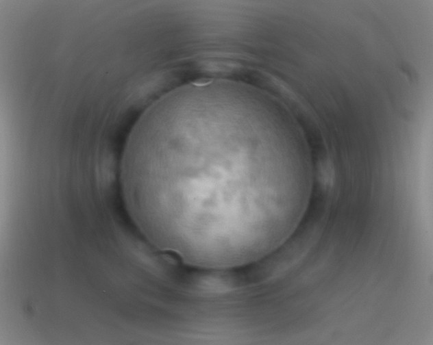 X0000115590567200911101240