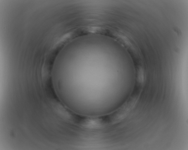 X0000115590569200911101240