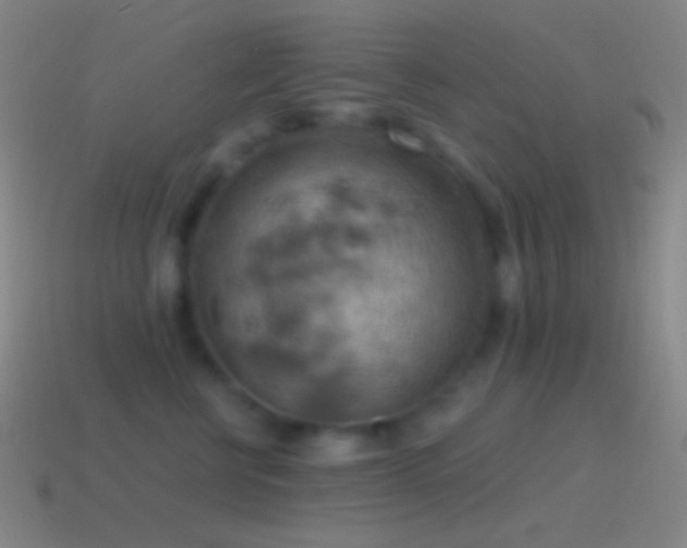 X0000115590570200911101240