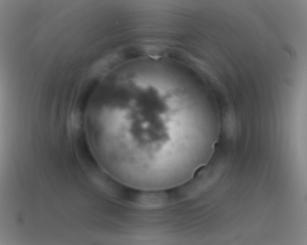 X0000115590571200911101240