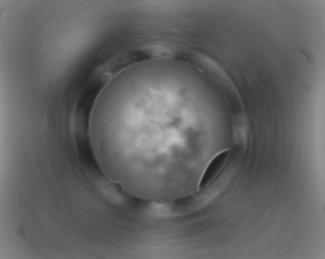 X0000115590573200911101240